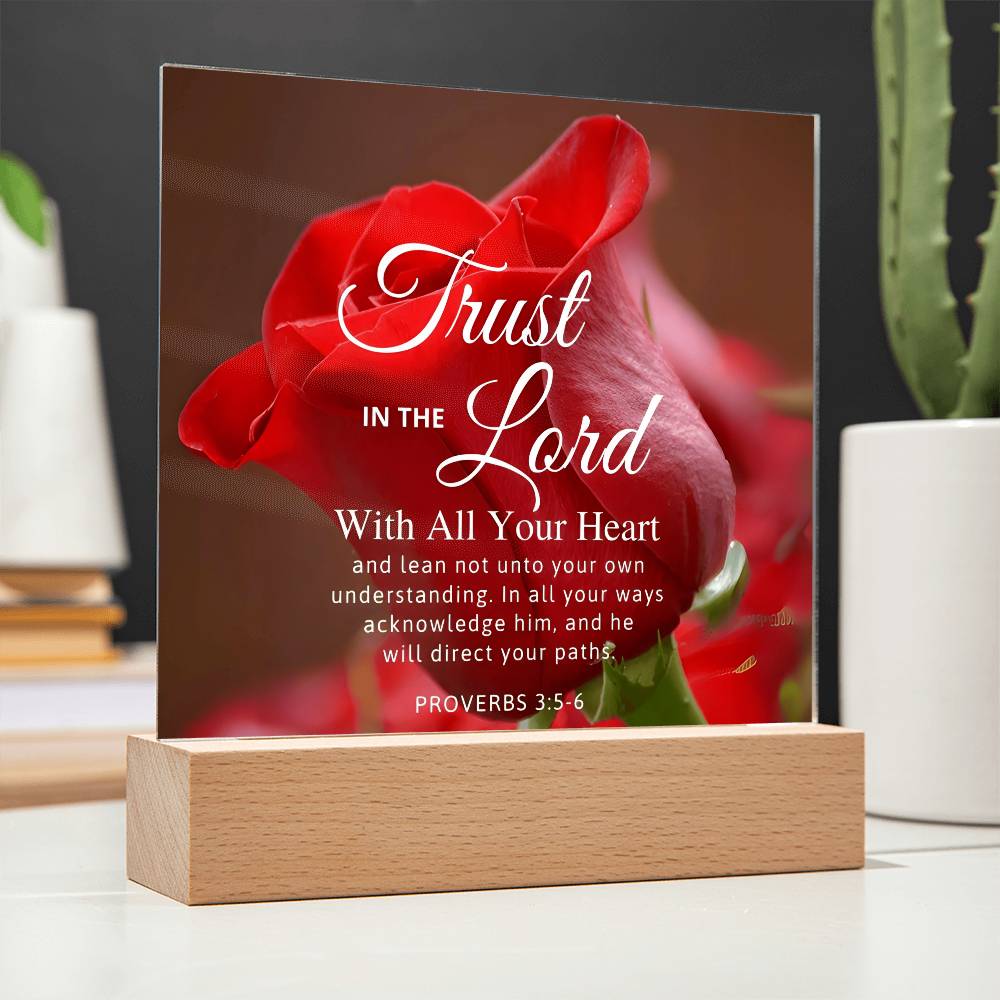 Guideance - Proverbs 3:5-6 - Plaque (v5)